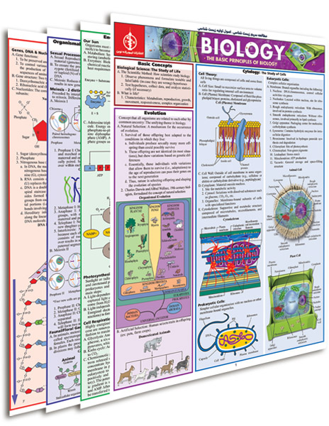 پوستر مطالعه سریع زیست شناسی- اصول اولیه زیست شناسی 1 - پوستر